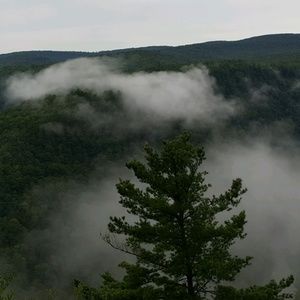 Meet your Posher, Larry